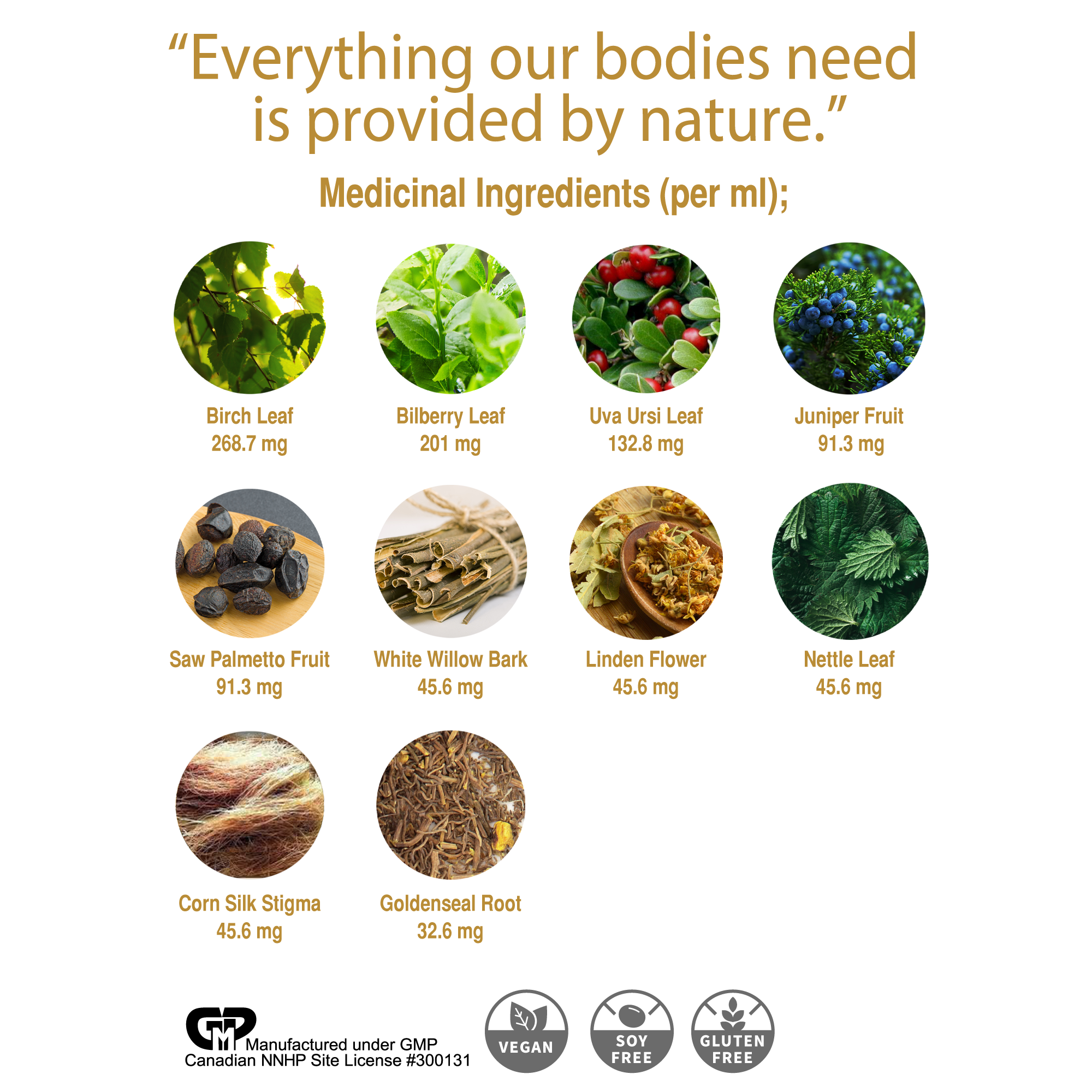 Bladder Drops™ Bladder - Urinary tract infections and Diuretic Support