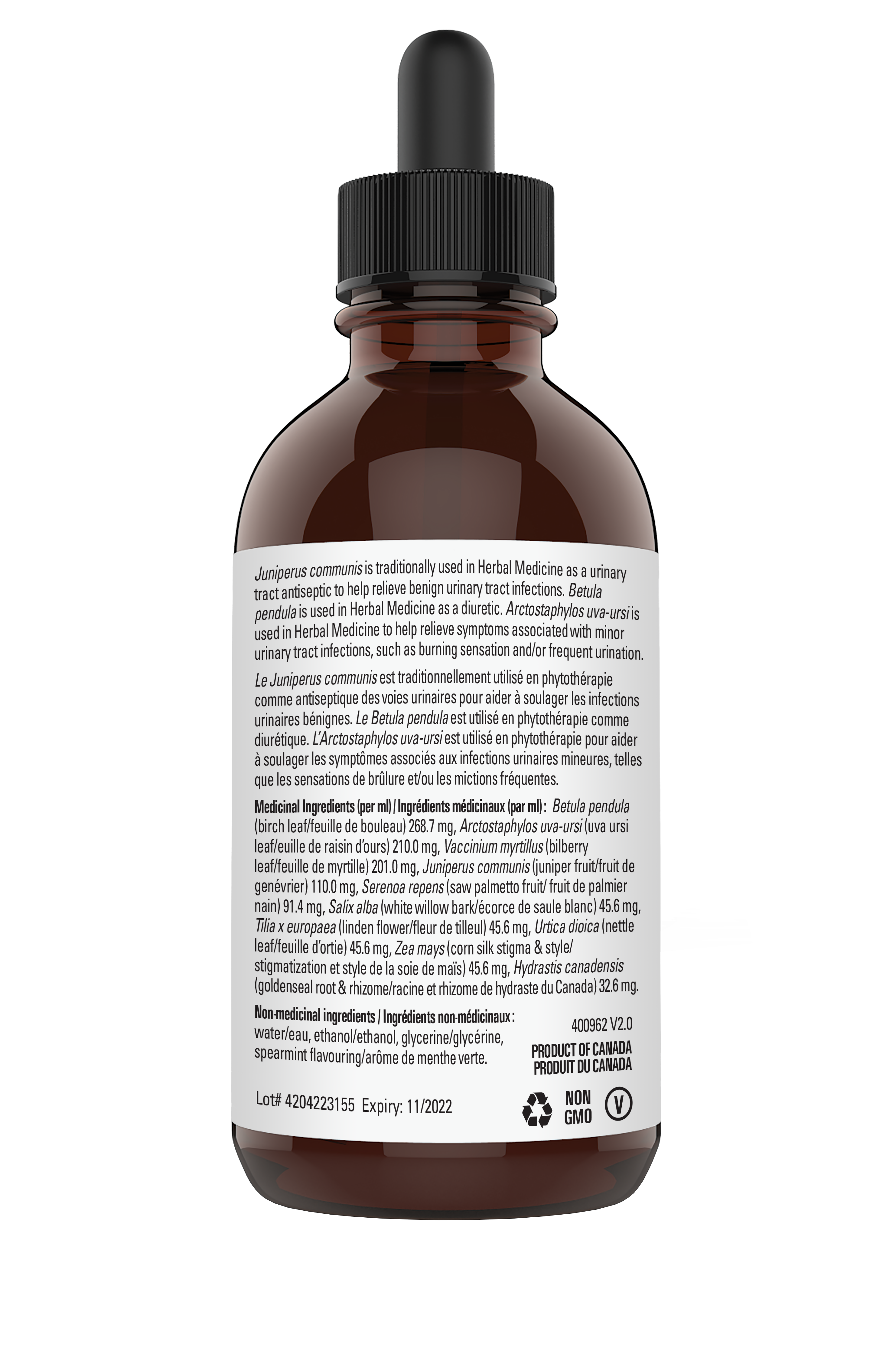 Bladder Drops™ Bladder - Urinary tract infections and Diuretic Support