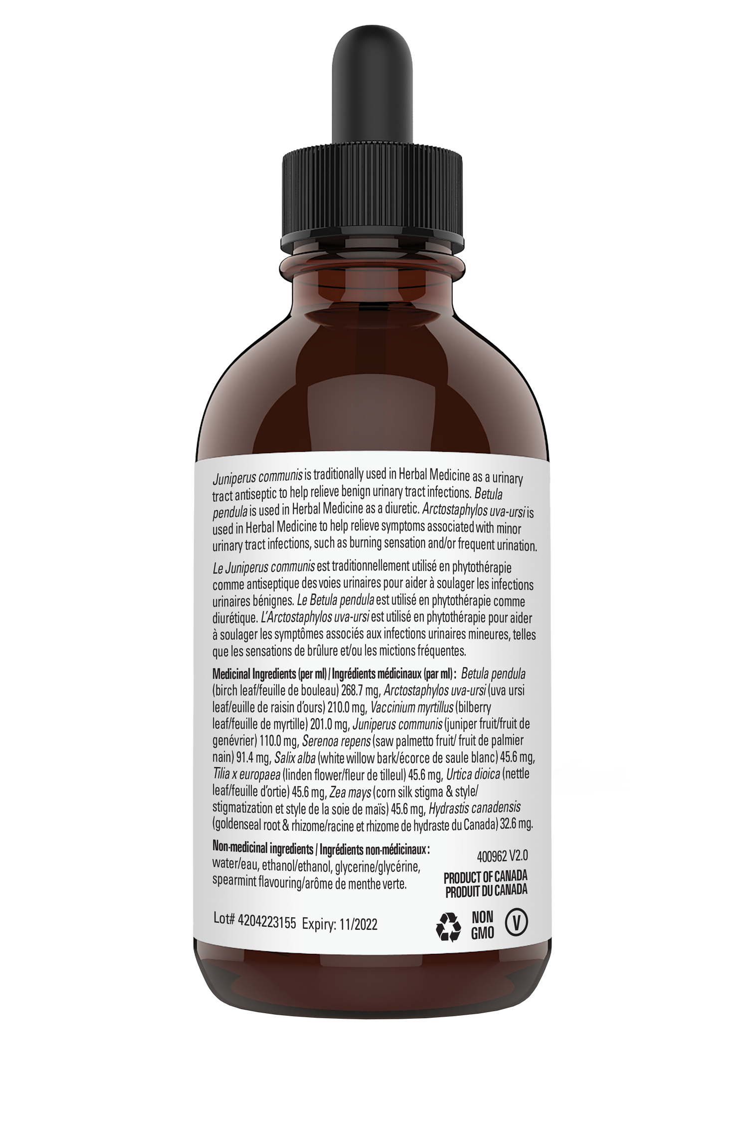 Bladder Drops™ Bladder - Urinary tract infections and Diuretic Support