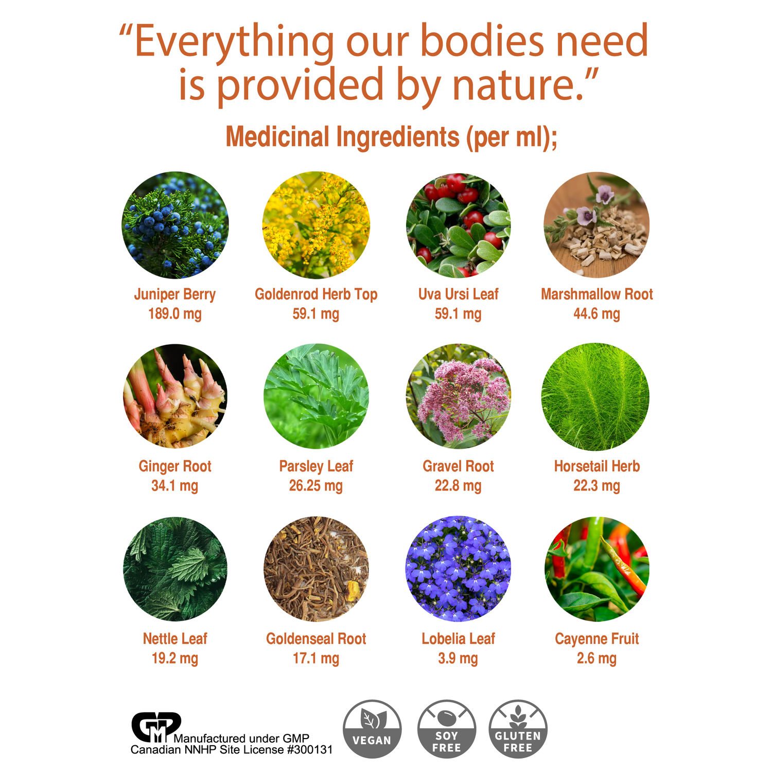 Kidney &amp; Blood Pressure Drops™ - Diuretic Supplement