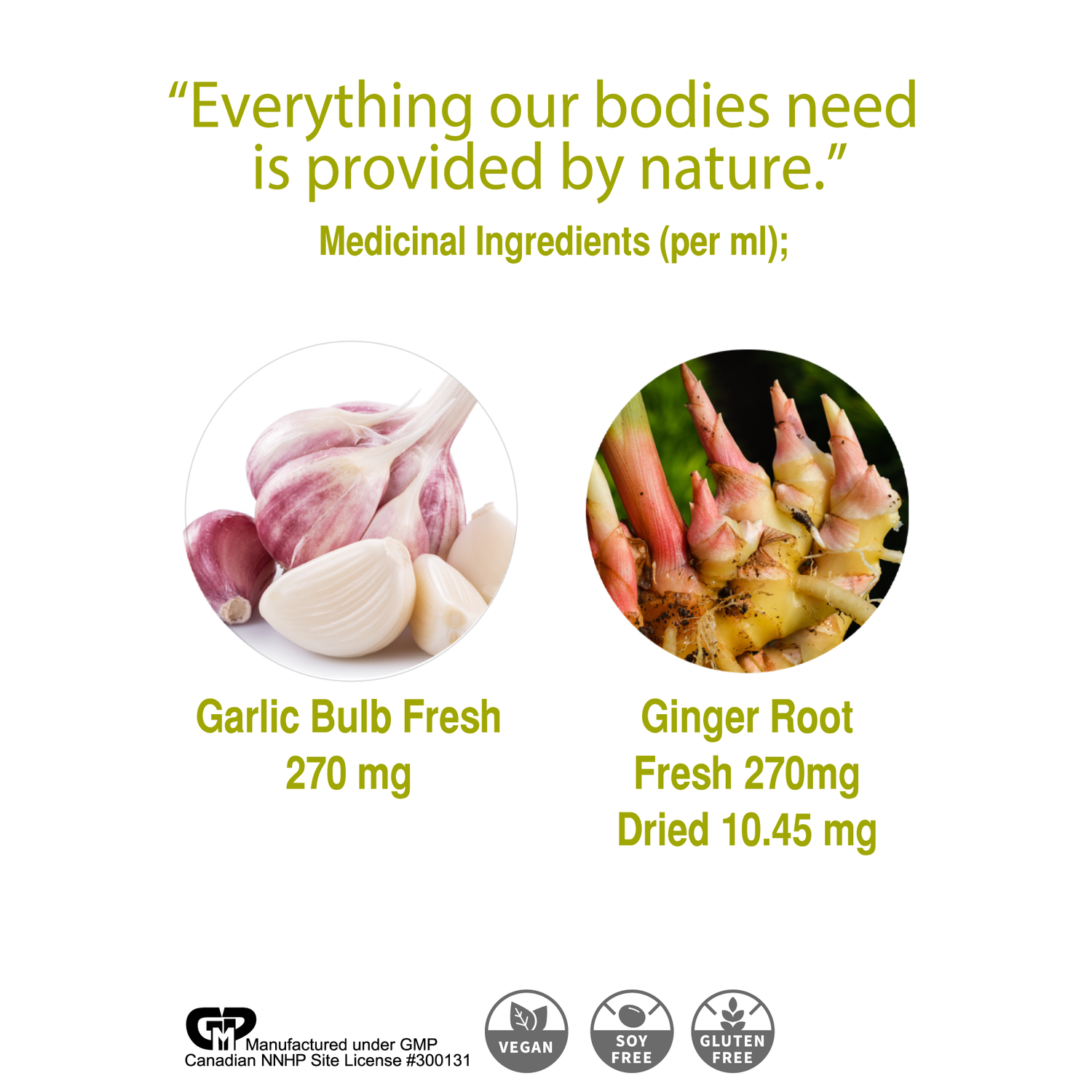 Travel Bug® Drops – Garlic and Ginger Extract